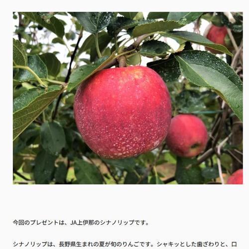 長野県のおいしい!プレゼントの詳細