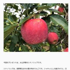 Ĺ��Τ����������ץ쥼��Ȥγ���