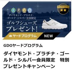 GDO�䡼�ɥץ�����७���ڡ���γ���