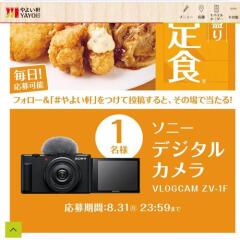 『熱盛定食』発売記念キャンペーンの概要