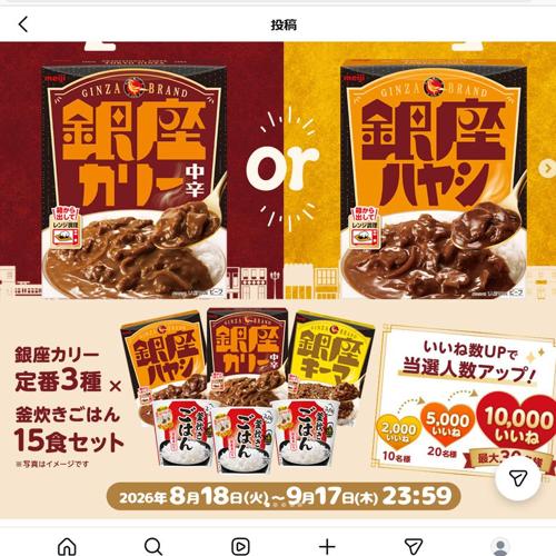 あなたはどっち派? 銀座カリー大好き!キャンペーンの詳細