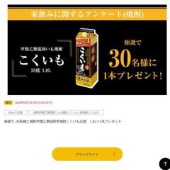 家飲みに関するアンケートの概要