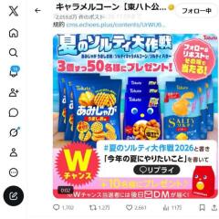 夏のソルティ大作戦の概要