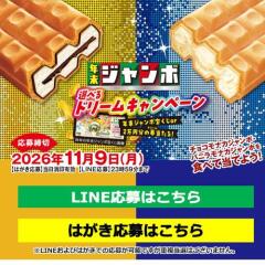 年末ジャンボ選べるドリームキャンペーンの概要