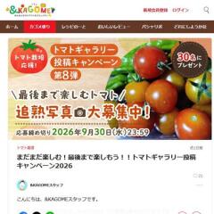 �ȥޥȥ����꡼��ƥ����ڡ���γ���