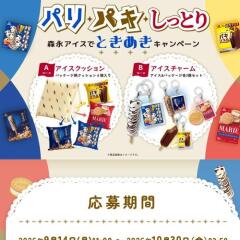 パリパキしっとり森永アイスでときめきキャンペーンの概要