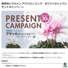 �Ѵ����������� ���������� �ԥ󥯡��ۥ磻�ȥ��åȥץ쥼��ȥ����ڡ���γ���