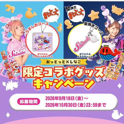 おっとっと×しなこ限定コラボグッズプレゼントキャンペーンの詳細