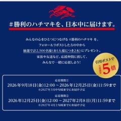 ������ο���ҤȤĤ� �����Υϥ��ޥ� for 2030�����ڡ���γ���
