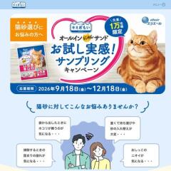 �����륤��ˤ�󥵥�ɤ���´�������ץ�󥰥����ڡ���γ���