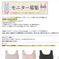 ��ӥ塼��˥����罸���γ���