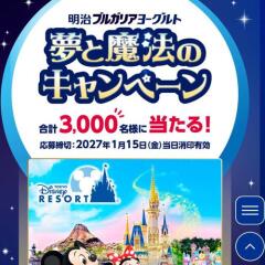 夢と魔法のキャンペーンの概要
