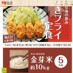 �ؤ����ե饤�꿩��ȯ�䵭ǰ�����ڡ���γ���