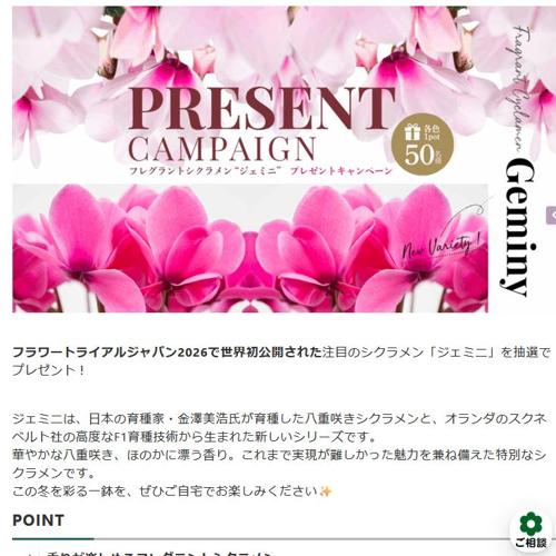 フレグラントシクラメン「ジェミニ」プレゼントキャンペーンの詳細