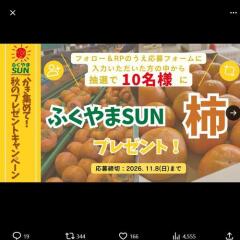 ��������ơ����Υץ쥼��ȥ����ڡ���2�γ���