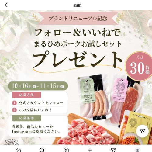 ブランドリニューアル記念の詳細