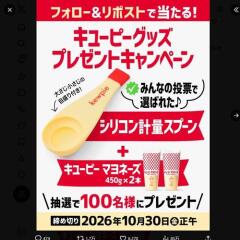 ���桼�ԡ����å� �ץ쥼��ȥ����ڡ���γ���