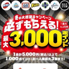 必ずもらえる！冬の大感謝キャンペーンの概要