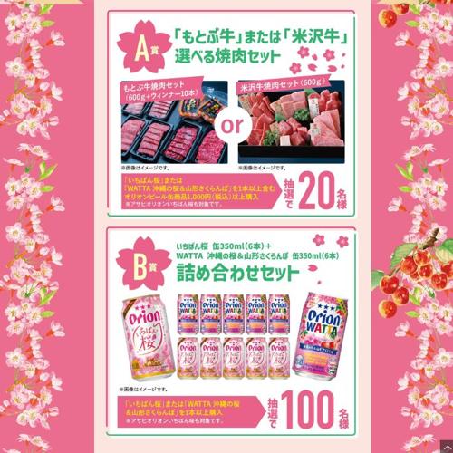 沖縄の桜を楽しもう!キャンペーンの詳細